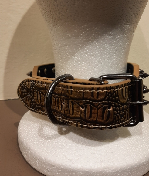 Studded collar - Picture 6 of 14